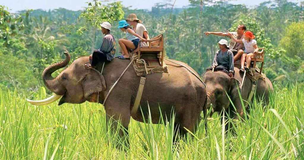 jim-corbett Upcoming Hotel