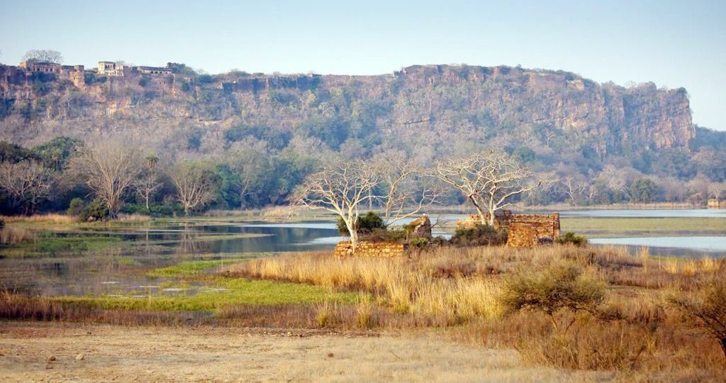 ranthambhor Upcoming Hotel