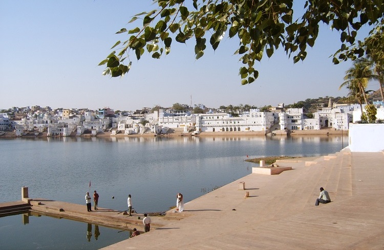 Pushkar01